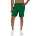 Meteor Workout Short